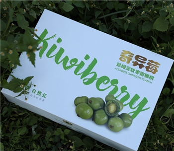 【辽宁大连】 润丰园 奇异莓 软枣猕猴桃 1500g
